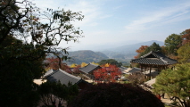 용이 지켜주는 천년고찰,경기도 안양시