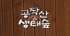 [체험] 몸과 자연이 하나되는 고장 강원도 홍천군,강원도 홍천군