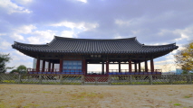 [탐사] 매력적인 별들의 도시 경상북도 영천시,부산광역시 중구